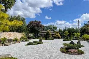 Ide Taman Belakang Rumah