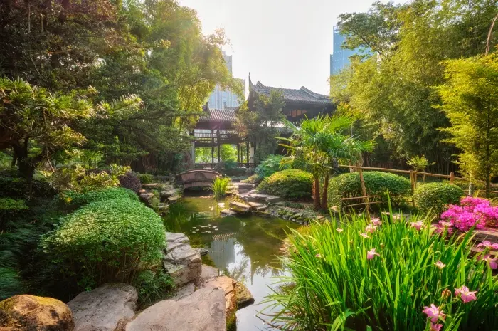Taman Belakang Rumah dengan Sentuhan Desain Jepang
